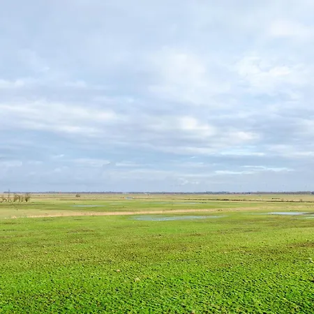 Gerken Amselnest * Ihlow (Aurich)